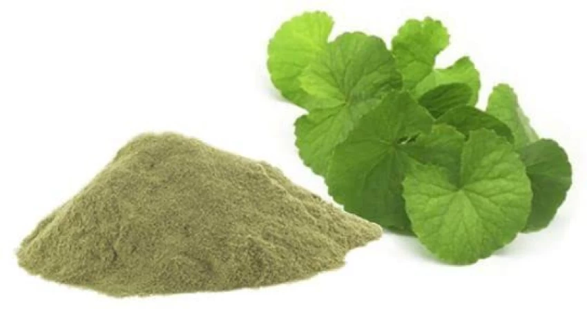 Brahmi Leaves Powder