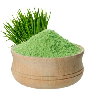 Wheatgrass Powder