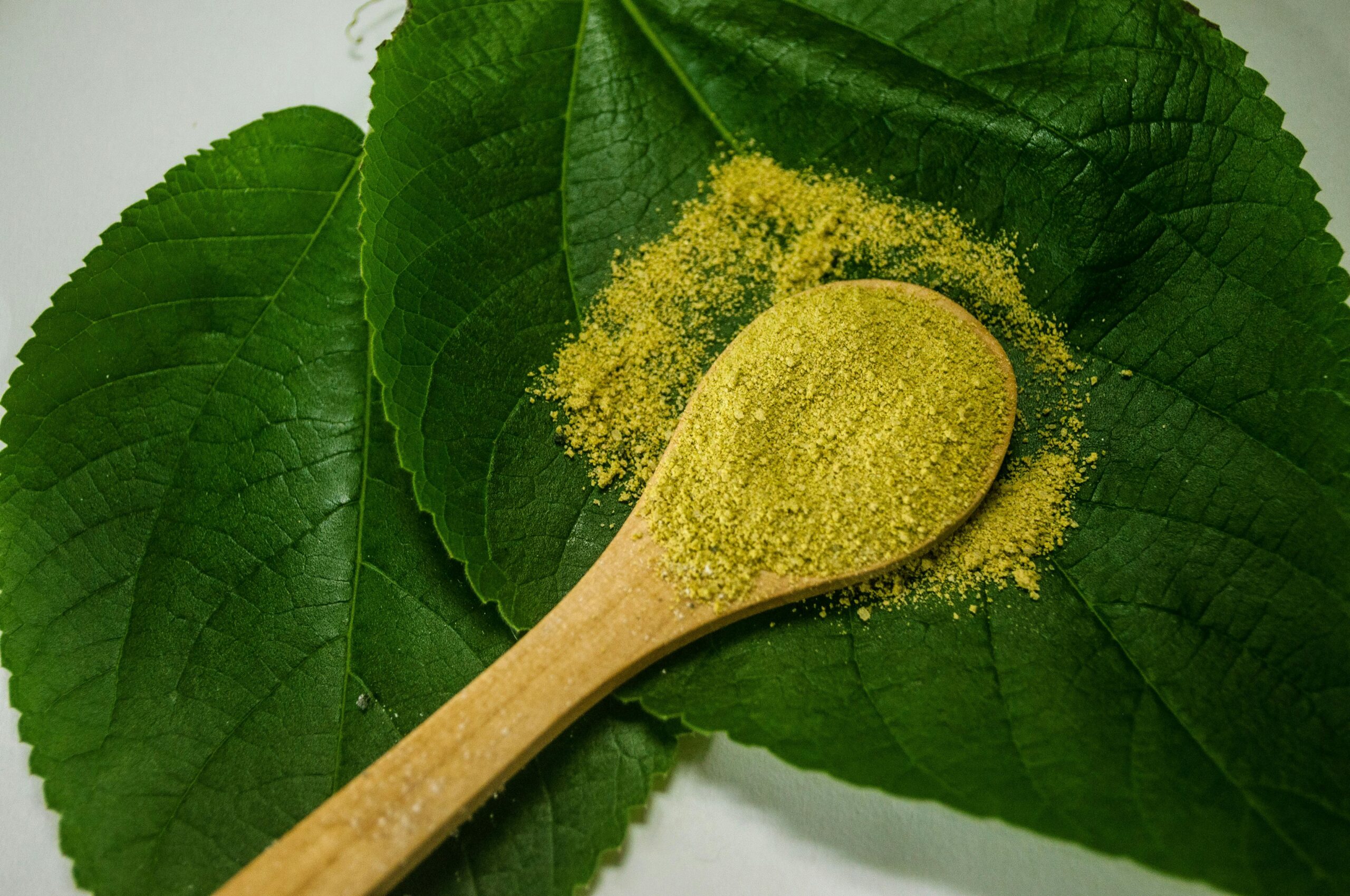 Close-up of organic matcha powder on green leaves with a wooden spoon.